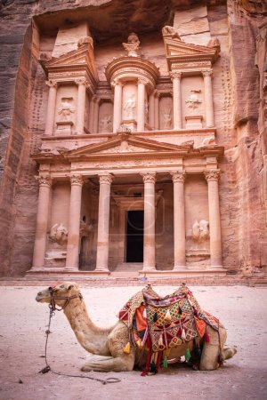 Foto de El templo del Tesoro (Al Jazneh) y un camello utilizado para el transporte turístico, Petra Jordania - Imagen libre de derechos