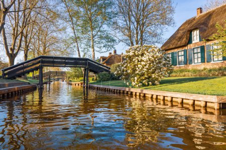Schöner Kanal mit Holzbrücken und holländischen Häusern im Frühling, Giethoorn, Niederlande