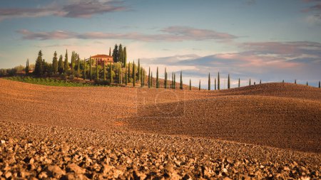 Photo for Tuscany landscape with rolling hills and farm house, Siena, Italy - Royalty Free Image