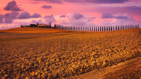 Téléchargez les photos : Paysage toscan avec collines, ferme et rangées de cyprès, Sienne, Italie - en image libre de droit