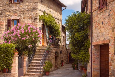 Hermosas casas medievales adornadas con flores, Montichiello, Italia