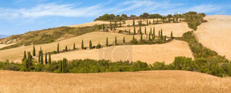 Téléchargez les photos : Vue panoramique sur la campagne toscane avec des cyprès bordant une route serpentine, Pienza, Italie - en image libre de droit