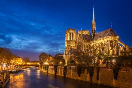 Foto de La catedral de Notre Dame, París, Francia - Imagen libre de derechos