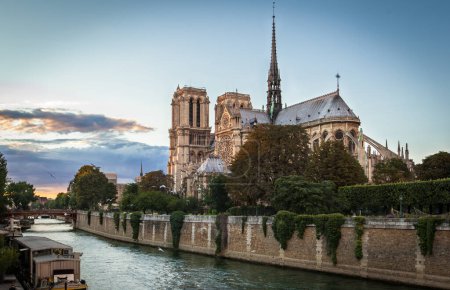 Foto de Vista de Notre Dame de Paris al atardecer - Imagen libre de derechos