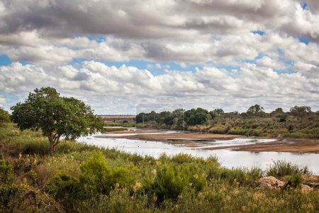 Téléchargez les photos : Vue de la rivière Sabie Sand, parc national Kruger, Afrique du Sud - en image libre de droit