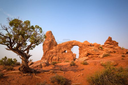 Photo for Turret Arch, Arches National Park, Utah, USA - Royalty Free Image