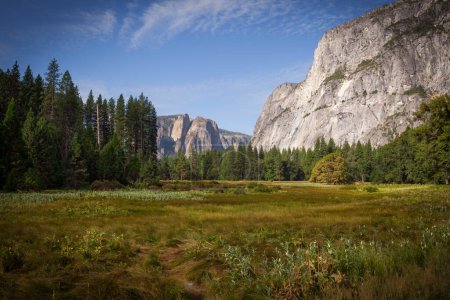Photo for A restful meadow in the Yosemite Valley, California, USA, surrounded by the strength of granite and the green of Ponderosa pines - Royalty Free Image