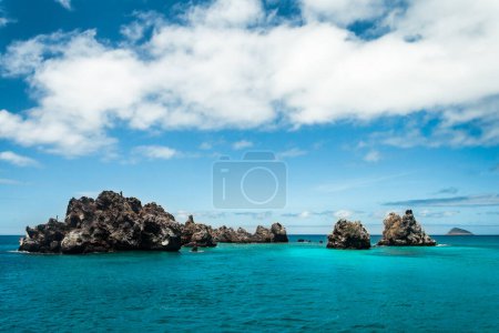 Téléchargez les photos : Devil's Crown est considéré comme l'un des meilleurs endroits pour la plongée avec tuba dans les îles Galapagos. Il est proche de l'île Floreana, au large de Punta Cormorant, - en image libre de droit