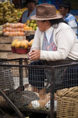 Foto de Una mujer andina de mediana edad vendiendo cobayas en el mercado, Ecuador - Imagen libre de derechos