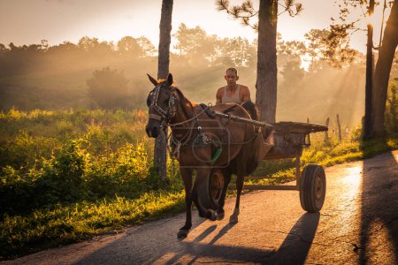 Téléchargez les photos : Un homme local sur une charrette à cheval au soleil du matin, Vinales, Cuba. Chariot tiré par cheval sont très communs à Vinales et partout à Cuba. - en image libre de droit