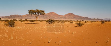 Photo for Panorama of the Namib desert and the Naukluft Mountains in Namib-Naukluft National Park, Namibia. The area is a popular tourist destination for its stunning landscapes and diverse flora and fauna. - Royalty Free Image