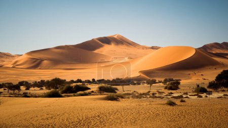 La dune Big Mama à l'extrémité est de la casserole Sossusvlei, parc national Namib-Naukluft, Namibie. La dune se dresse à une hauteur de 200 mètres (650 pieds) et fait partie du désert du Namib.