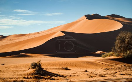 Foto de Dunes of the Namib desert in the Sossusvlei area, Namib-Naukluft National Park, Namibia. El desierto de Namib es el desierto más antiguo del mundo. También tiene las dunas más altas, alcanzando los 300-400 metros. - Imagen libre de derechos