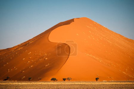 Dune 40 contre ciel bleu clair dans la région de Sossusvlei, Namib-Naukluft National Park, Namibie. Il est nommé d'après sa distance de 40 kilomètres de la porte de Sesriem.