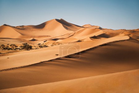 Dünen der Namib-Wüste im Sossusvlei-Gebiet, Namib-Naukluft-Nationalpark, Namibia. Die Namib-Wüste ist die älteste Wüste der Welt. Es hat auch die höchsten Dünen, die 300-400 Meter erreichen.