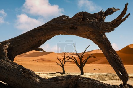 Téléchargez les photos : Épines de chameau brûlées encadrées contre le ciel bleu et les dunes rouges à Deadvlei, région de Sossusvlei, Namibie. Décédé il y a 700 ans, les arbres sont maintenant brûlés en noir par le soleil intense. - en image libre de droit
