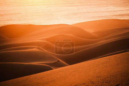 Foto de Primer plano de las dunas con curvas al atardecer en el desierto de Namib, al sur de Walvis Bay en el Parque Nacional Namib-Naukluft, Namibia.b - Imagen libre de derechos