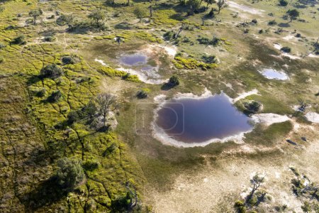 Foto de Vista aérea a la naturaleza salvaje del Delta Okavango en Botswana. - Imagen libre de derechos