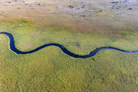 Luftaufnahme der wilden Natur des Delta Okavango in Botswana.