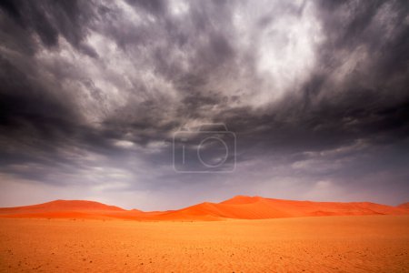 Téléchargez les photos : Vue aérienne sur le magnifique désert de sable Namib plein de dunes, formes, motifs - en image libre de droit