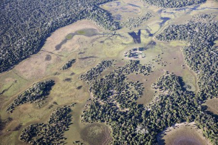 Vista aérea a la selva pantanal en Brasil.