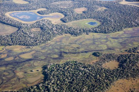 Téléchargez les photos : Vue aérienne vers la jungle du Pantanal au Brésil. - en image libre de droit
