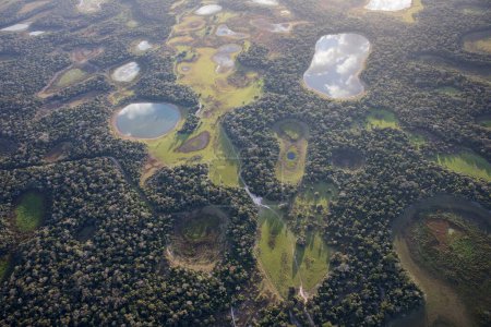 Téléchargez les photos : Vue aérienne vers la jungle du Pantanal au Brésil. - en image libre de droit