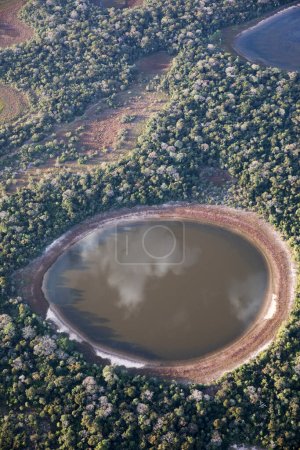 Vista aérea a la selva pantanal en Brasil.