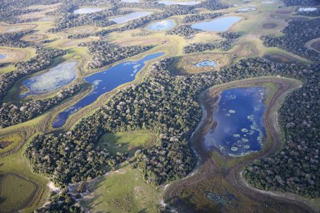 Aerial view to Pantanal jungle in Brasil.