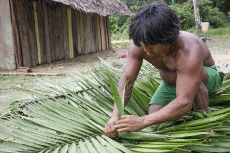 Foto de Huaorani hombres de la tribu Waorani haciendo techo de hojas de palma de la choza en la aldea de la selva, región amazónica de Ecuador - Imagen libre de derechos