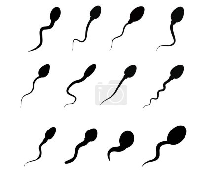 Illustration for Abstract sperm icon, sperm icon, and sperm vector that runs towards the egg. On a white background, the competition concept - Royalty Free Image