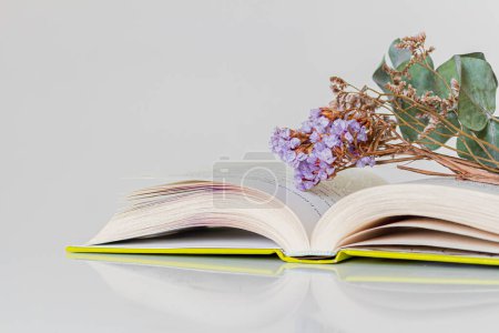 Téléchargez les photos : Vue rapprochée du livre ouvert et des fleurs séchées sur fond blanc. - en image libre de droit