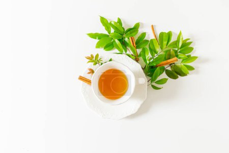 Téléchargez les photos : Coupe de thé et de feuilles de plantes composition sur fond blanc. Couché plat, vue du dessus. - en image libre de droit