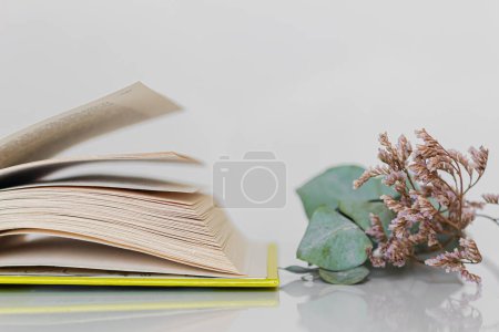Foto de Composición de primavera. Libro abierto y flores secas sobre fondo blanco. Concepto de lectura de primavera. - Imagen libre de derechos