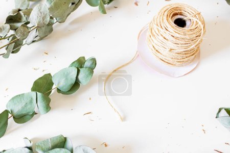 Photo for Eucalyptus leaves and branches with sisal rope on white background - Royalty Free Image
