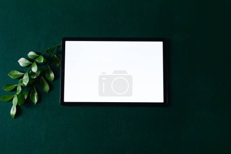 Téléchargez les photos : Tablette écran vierge avec espace de copie sur fond vert profond. Couché à plat, vue de dessus. Esthétique toute composition verte. - en image libre de droit