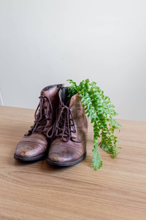 Téléchargez les photos : Bottes vintage mode. paire de chaussures femme avec fougère verte. Concept de style vintage. - en image libre de droit