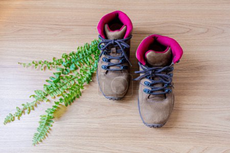Photo for Pair of shoes with green fern. - Royalty Free Image
