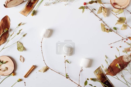 Photo for Frame with dry autumn leaves, vintage camera films, wood pieces, cinnamon, berries and marshmallow on white background. Fall, autumn concept. Mock up, flat lay. - Royalty Free Image