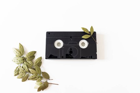 Photo for Old video cassette isolated, and dried plant leaves on white background. Flat lay, overhead view, top view. - Royalty Free Image