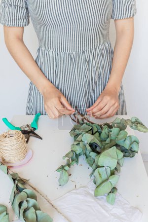 Téléchargez les photos : Fleuriste faisant un bouquet d'eucalyptus sur fond blanc. Fleuriste concept minimal. - en image libre de droit
