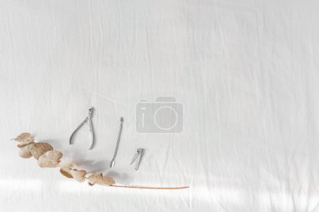 Téléchargez les photos : Vue du dessus du kit de manucure avec feuilles d'eucalyptus sur fond blanc - en image libre de droit