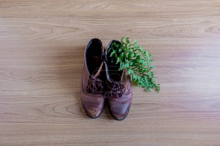 Photo for Fashion vintage boots. pair of female shoes with green fern. Vintage style concept. - Royalty Free Image