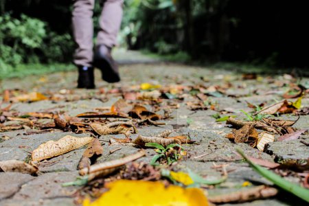 Téléchargez les photos : Homme randonnée sur un chemin plein de feuilles sèches. Randonnée automnale - en image libre de droit