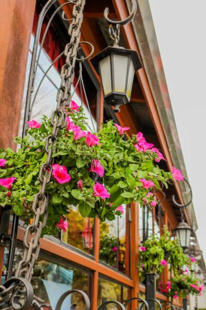 Foto de Hermosas flores en la calle en la ciudad vieja de riga, latvia - Imagen libre de derechos