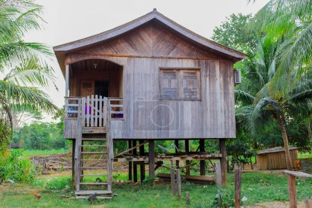 Téléchargez les photos : Jolie maison sur Boca do Acre - Amazon - en image libre de droit