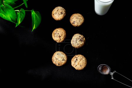 Téléchargez les photos : Vue du dessus des biscuits faits maison avec plante de boa et verre de lait sur fond noir - en image libre de droit