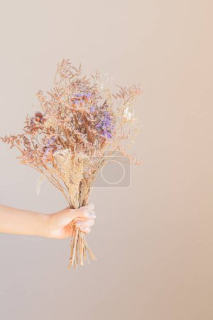 Téléchargez les photos : Main de jeune femme tenant un bouquet de fleurs séchées - en image libre de droit