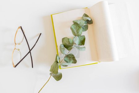 Foto de Composición de primavera. Libro abierto con rama de eucalipto y anteojos sobre fondo blanco. Concepto de lectura de primavera. - Imagen libre de derechos