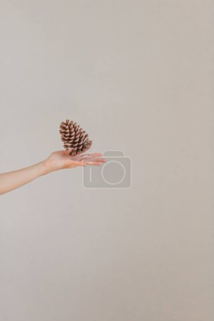 Téléchargez les photos : Main féminine tenant un cône de pin dans la paume - en image libre de droit